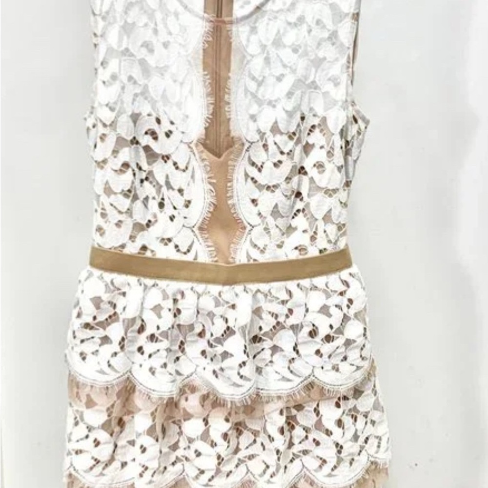 BCBG Max Azaria Sophea Two-Tone Lace Mini Dress - Picture 5 of 9